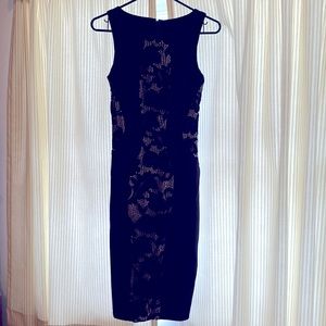Alexia Admor Black Lace Panel Dress